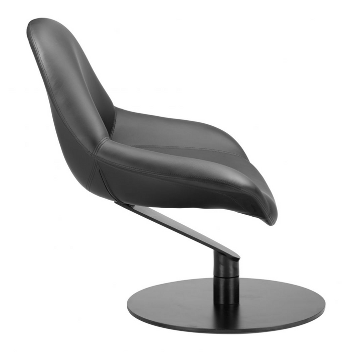 Zuo Poole Accent Chair Black - Bed & Sofa Hub