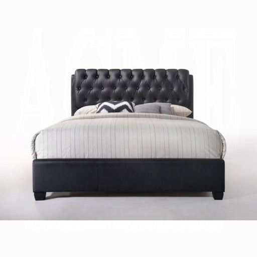 ACME Ireland II EK Bed - Bed & Sofa Hub