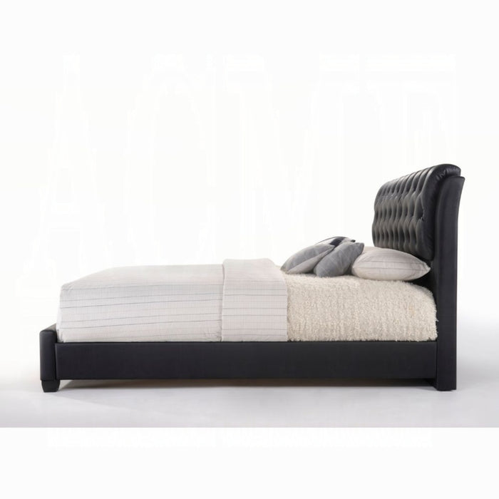 ACME Ireland II Queen Bed - Bed & Sofa Hub