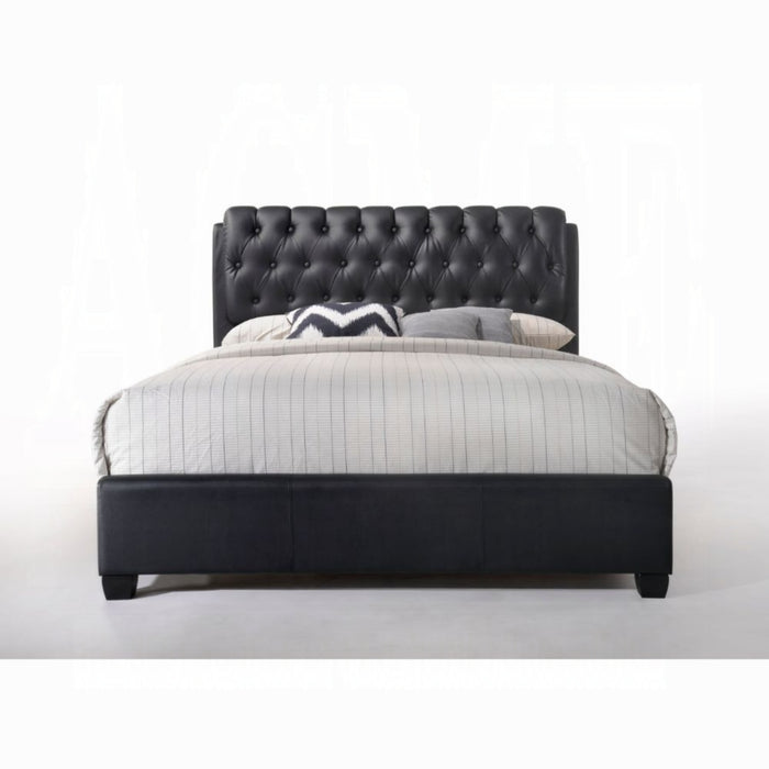 ACME Ireland II Queen Bed - Bed & Sofa Hub