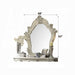 ACME Versailles Mirror - Bed & Sofa Hub