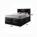 ACME Ireland EK Bed W/Storage - Bed & Sofa Hub