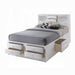 ACME Ireland Queen Bed W/Storage - Bed & Sofa Hub