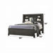 ACME Lantha EK Bed - Bed & Sofa Hub