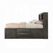 ACME Ireland Queen Bed W/Storage - Bed & Sofa Hub