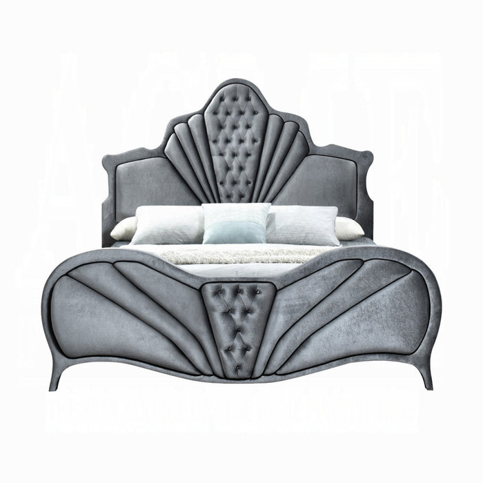 ACME Dante Queen Bed - Bed & Sofa Hub