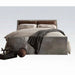 ACME Brancaster Queen Bed - Bed & Sofa Hub