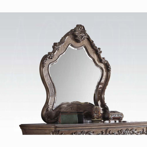 ACME Ragenardus Mirror - Bed & Sofa Hub