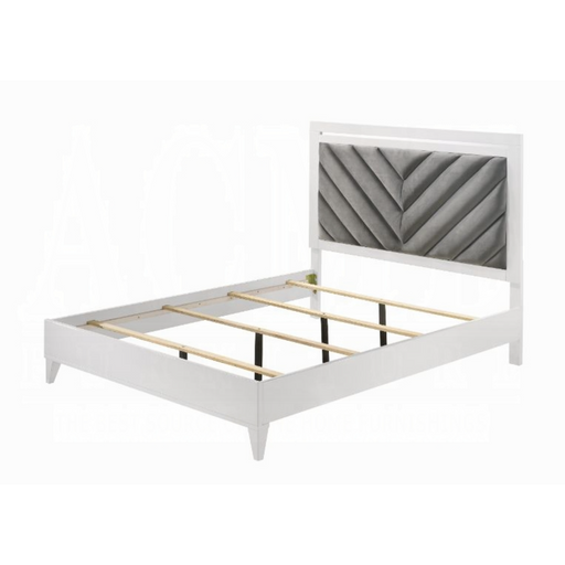 ACME Chelsie EK Bed - Bed & Sofa Hub