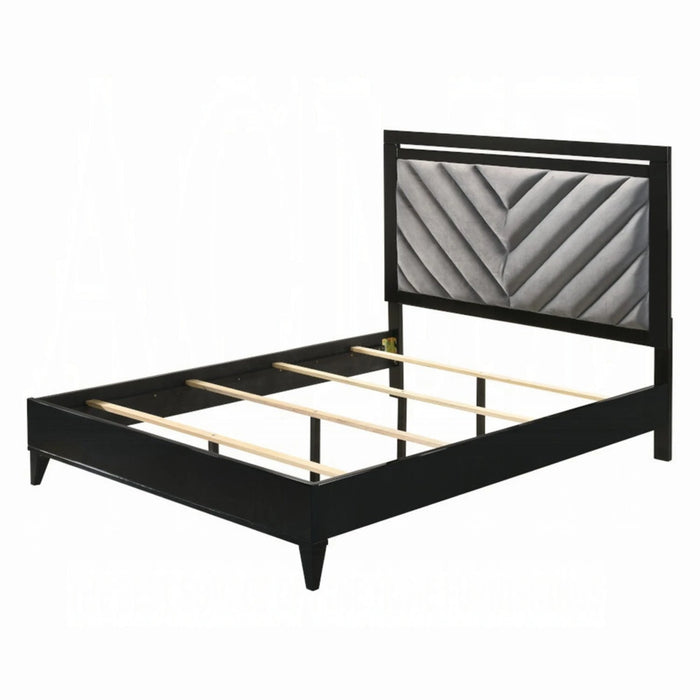 ACME Chelsie Queen Bed - Bed & Sofa Hub