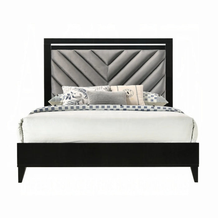 ACME Chelsie Queen Bed - Bed & Sofa Hub