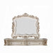 ACME Gorsedd Mirror - Bed & Sofa Hub