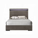 ACME Escher Queen Bed - Bed & Sofa Hub