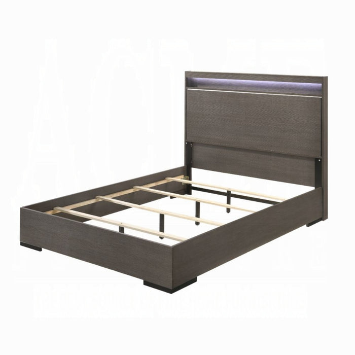 ACME Escher Queen Bed - Bed & Sofa Hub