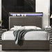 ACME Escher Queen Bed - Bed & Sofa Hub