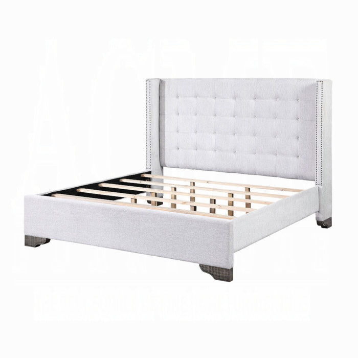 ACME Artesia Queen Bed - Bed & Sofa Hub