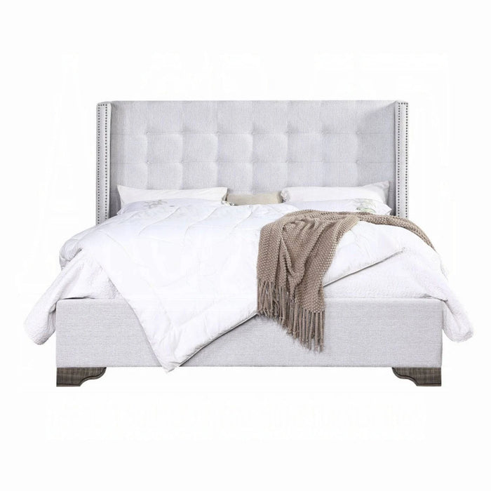 ACME Artesia Queen Bed - Bed & Sofa Hub