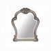 ACME Dresden Mirror - Bed & Sofa Hub