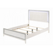 ACME Haiden EK Bed W/Led - Bed & Sofa Hub