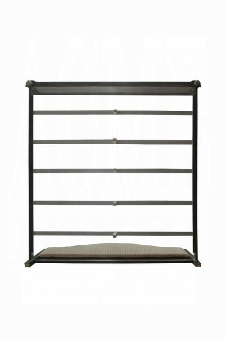 ACME House Beatrice Queen Bed - Bed & Sofa Hub