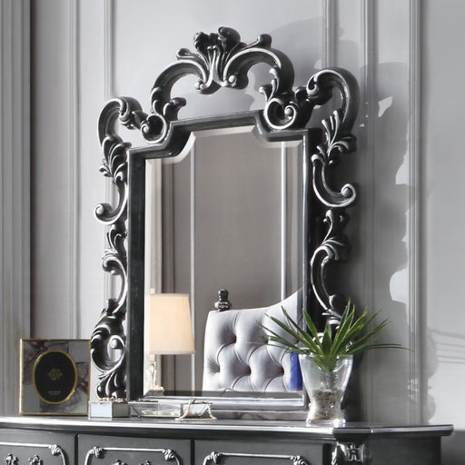 ACME House Delphine Mirror - Bed & Sofa Hub