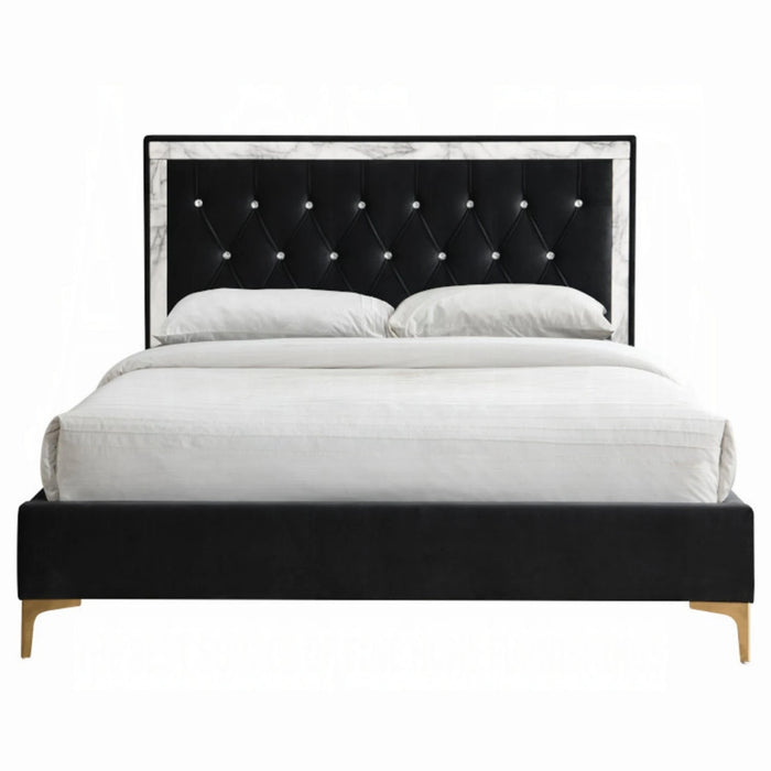 ACME Rowan EK Bed - Bed & Sofa Hub