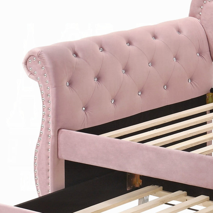 ACME Adkins Daybed W/Trundle (Twin) - Bed & Sofa Hub