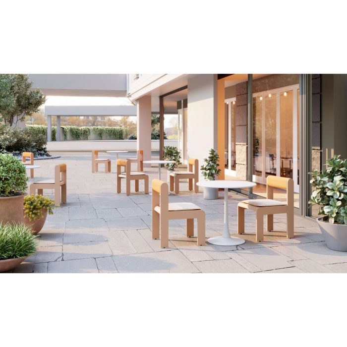 Zuo Island Dining Chair White - Bed & Sofa Hub