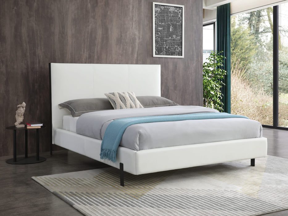 Whiteline Modern Living Hollywood King Bed BK1690P - Bed & Sofa Hub