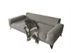 Whiteline Modern Living Bursa Sofa Bed SO1755F-LGRY - Bed & Sofa Hub