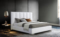 Whiteline Modern Living Velvet King Bed BK1655 - Bed & Sofa Hub
