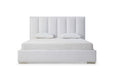 Whiteline Modern Living Velvet Queen Bed BQ1655 - Bed & Sofa Hub