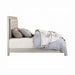 ACME Sliverfluff EK Bed W/Led & Storage - Bed & Sofa Hub