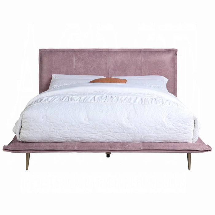 ACME Metis Queen Bed - Bed & Sofa Hub