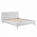 ACME Doris Queen Bed - Bed & Sofa Hub