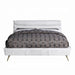 ACME Doris Queen Bed - Bed & Sofa Hub