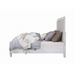 ACME Katia Queen Bed - Bed & Sofa Hub