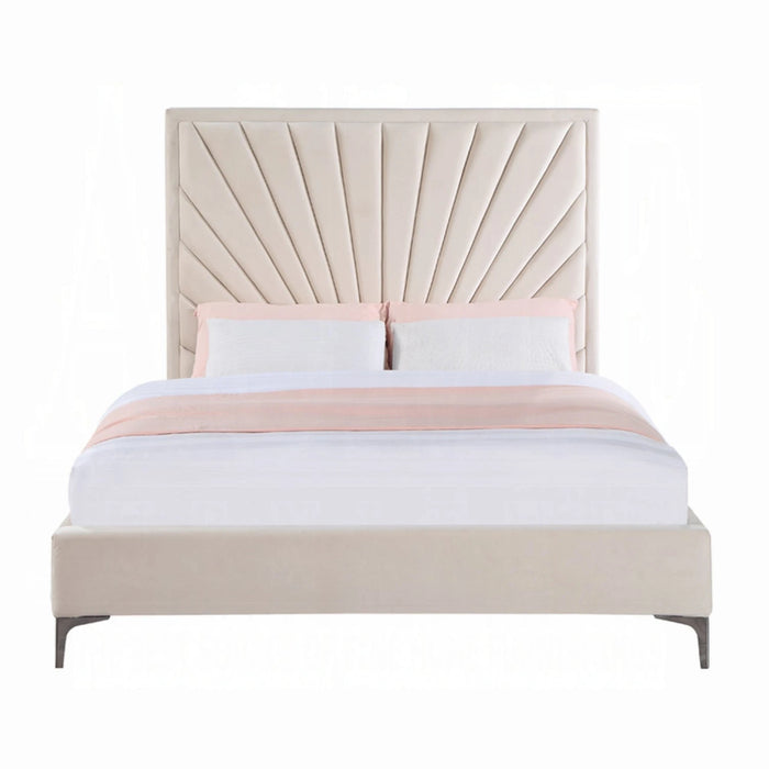 ACME Faiz EK Bed - Bed & Sofa Hub