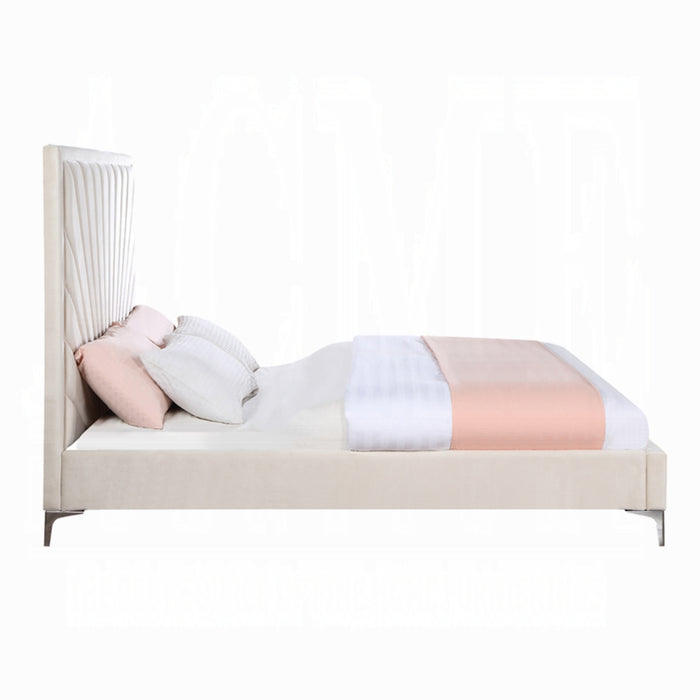 ACME Faiz Queen Bed - Bed & Sofa Hub