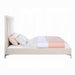 ACME Faiz Queen Bed - Bed & Sofa Hub