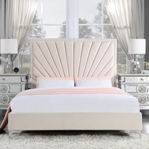 ACME Faiz Queen Bed - Bed & Sofa Hub