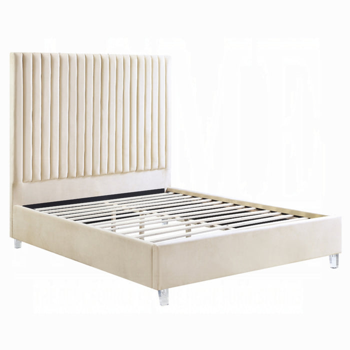 ACME Edzia Queen Bed - Bed & Sofa Hub
