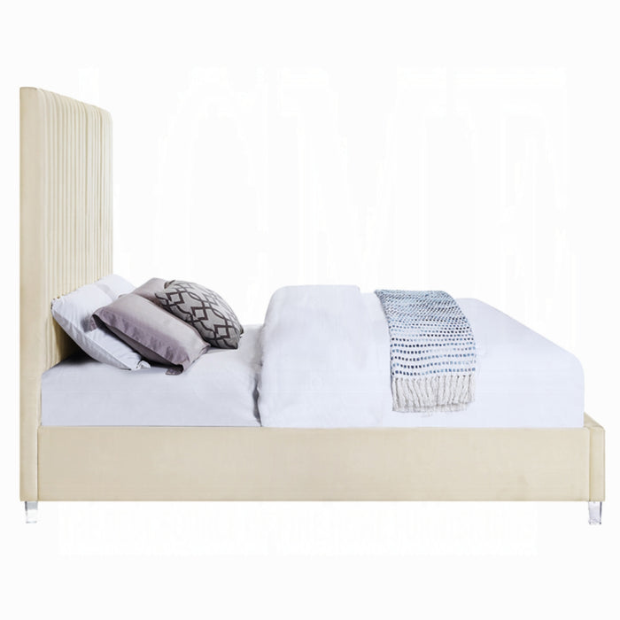 ACME Edzia Queen Bed - Bed & Sofa Hub
