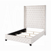 ACME Fabrice Queen Bed - Bed & Sofa Hub