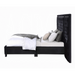 ACME Damazy Queen Bed - Bed & Sofa Hub