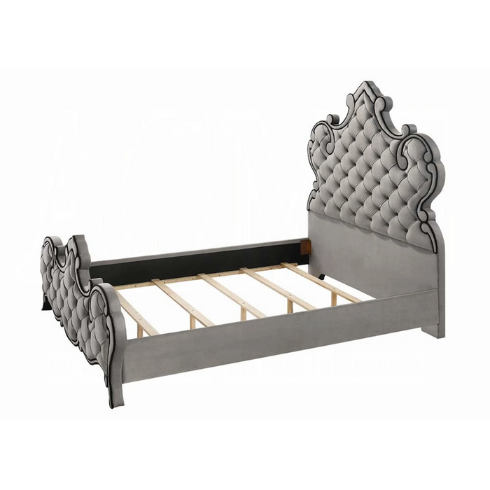 ACME Perine Queen Bed - Bed & Sofa Hub