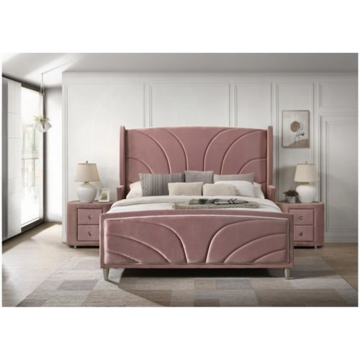 ACME Salonia EK Bed - Bed & Sofa Hub