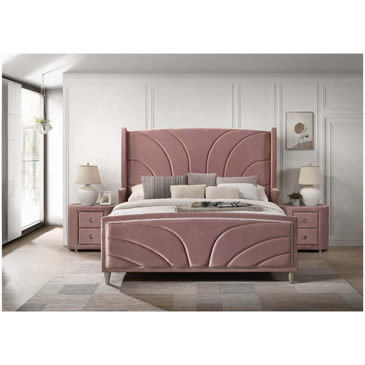 ACME Salonia Queen Bed - Bed & Sofa Hub