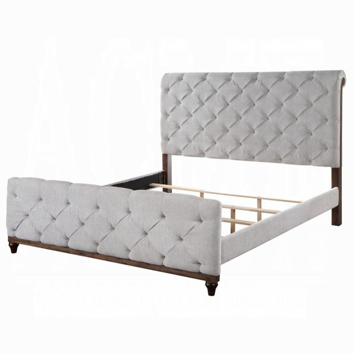ACME Andria Queen Bed - Bed & Sofa Hub