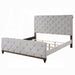 ACME Andria Queen Bed - Bed & Sofa Hub